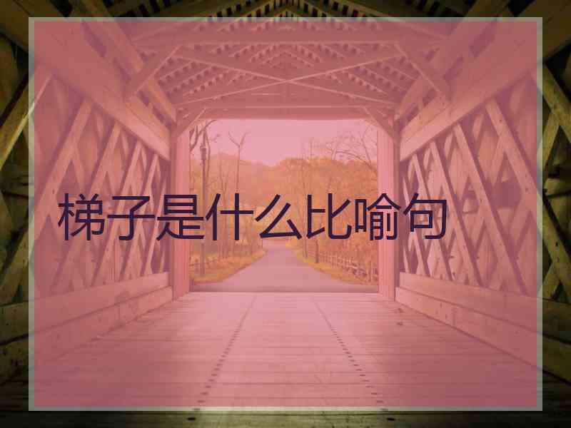 梯子是什么比喻句