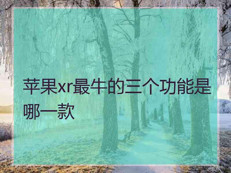 苹果xr最牛的三个功能是哪一款