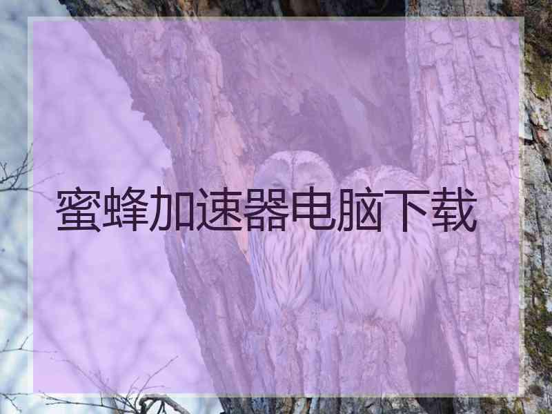 蜜蜂加速器电脑下载