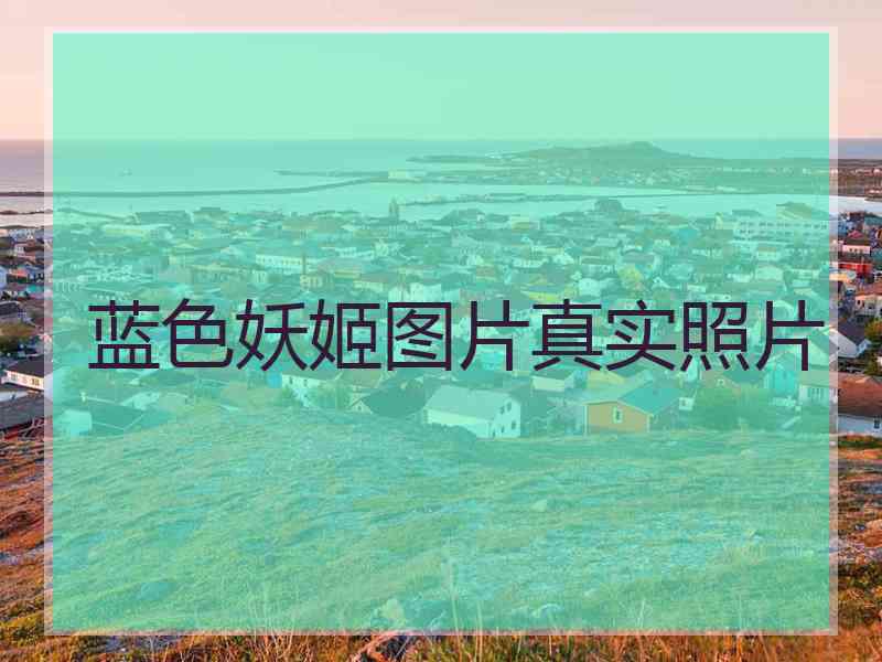 蓝色妖姬图片真实照片