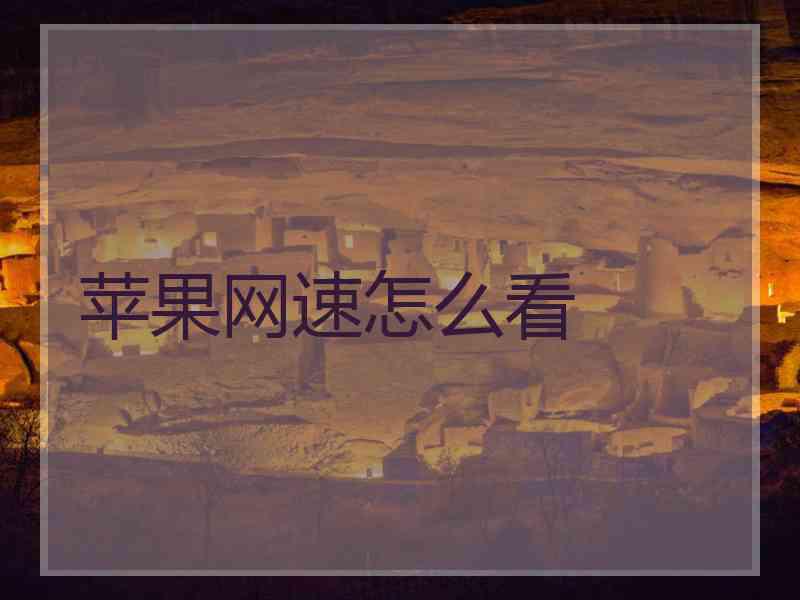 苹果网速怎么看