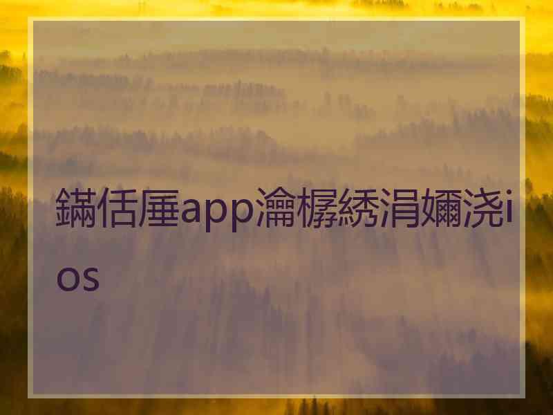 鏋佸厜app瀹樼綉涓嬭浇ios