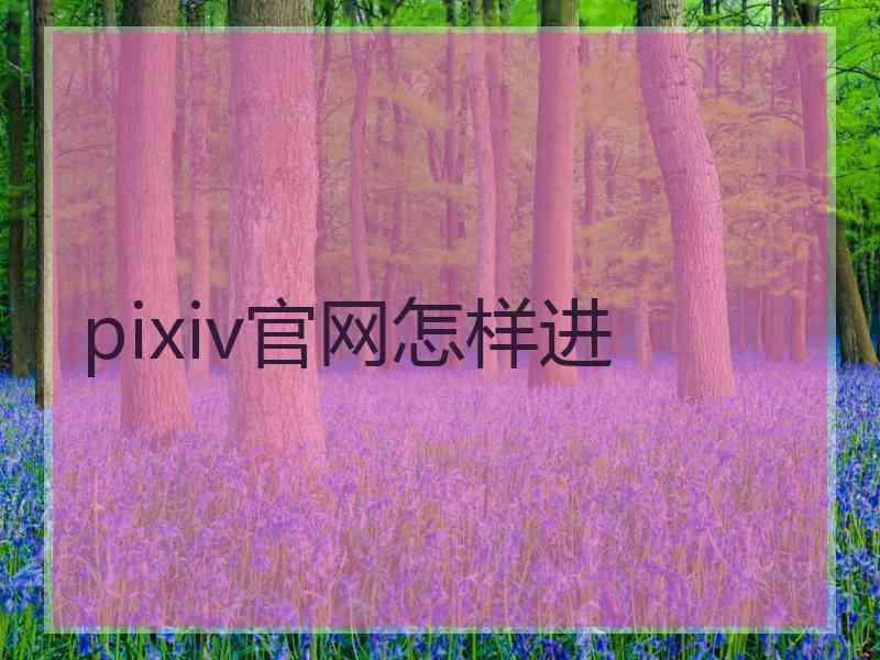 pixiv官网怎样进