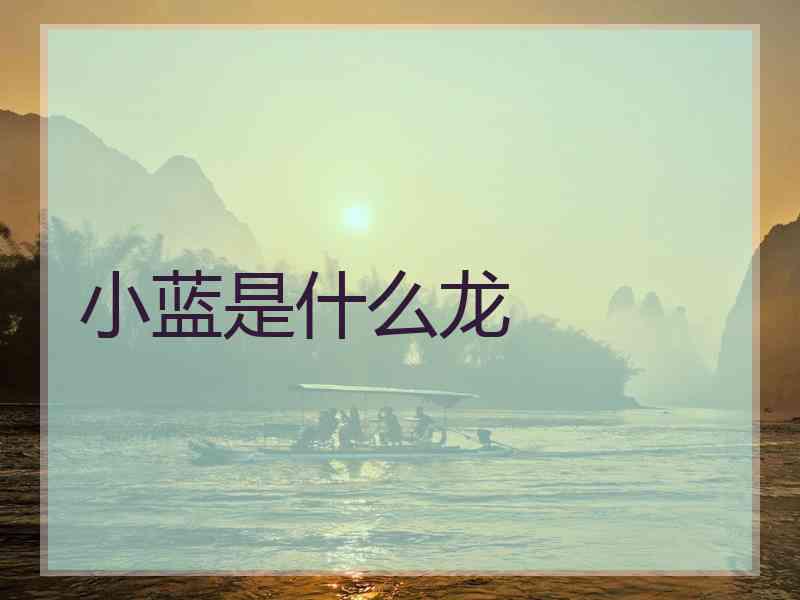 小蓝是什么龙