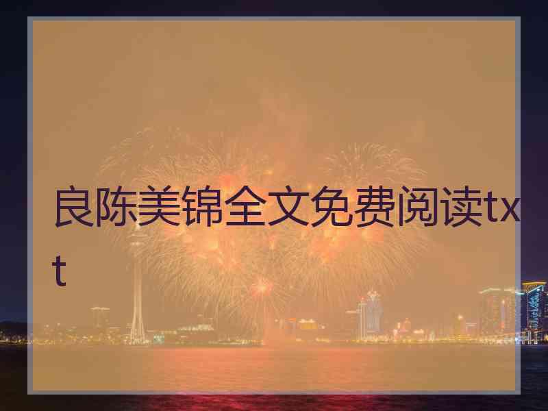 良陈美锦全文免费阅读txt