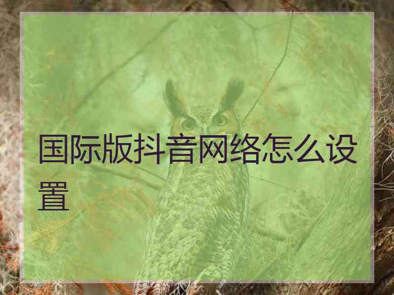 国际版抖音网络怎么设置