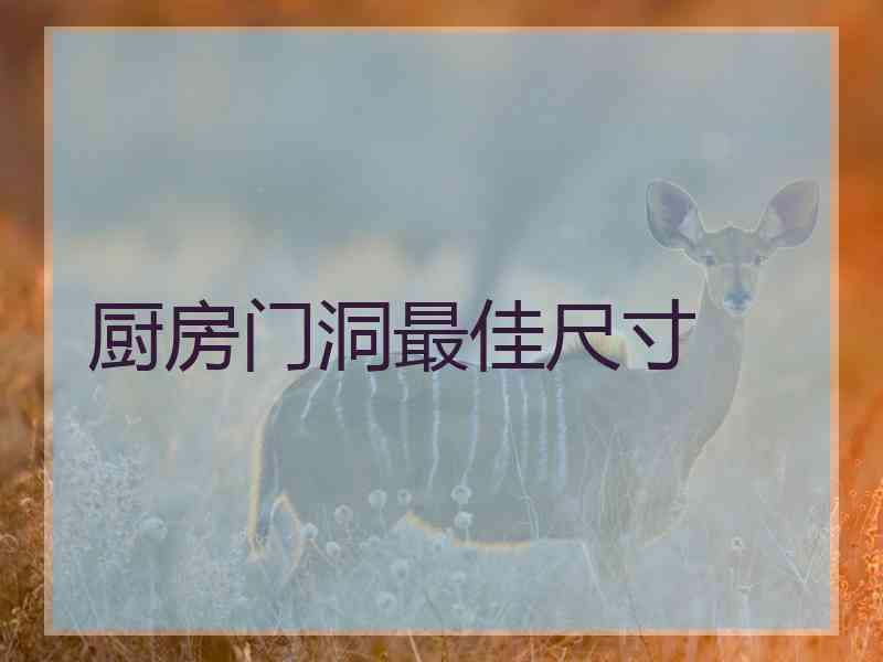 厨房门洞最佳尺寸