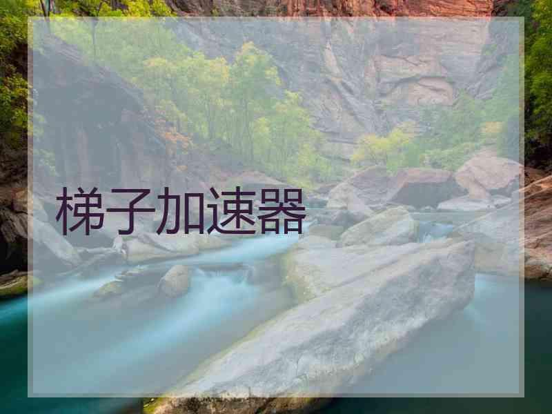 梯子加速器