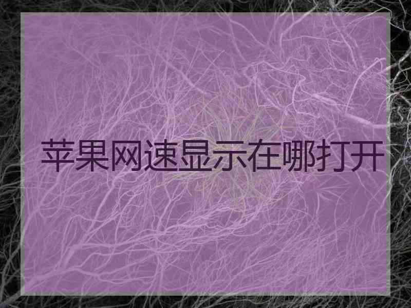 苹果网速显示在哪打开