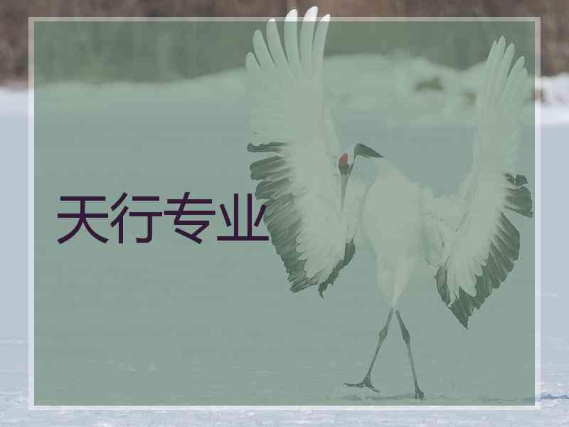 天行专业