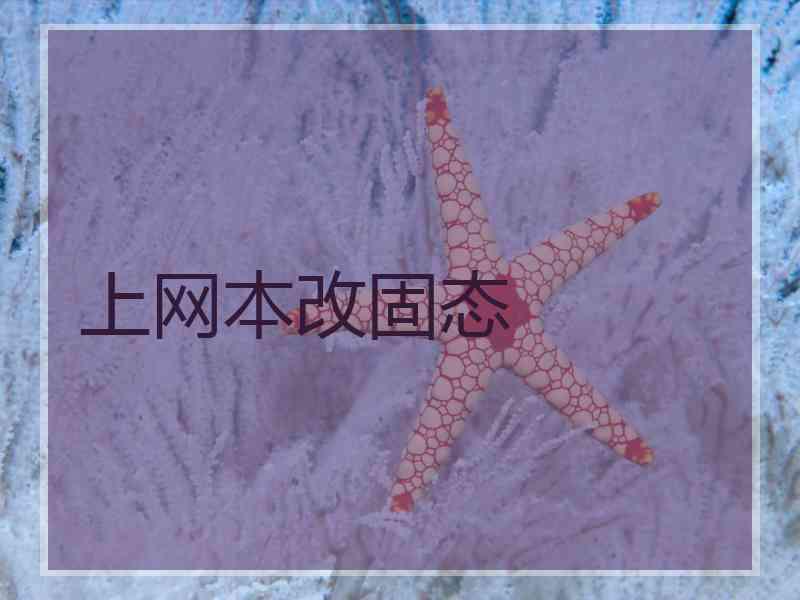 上网本改固态