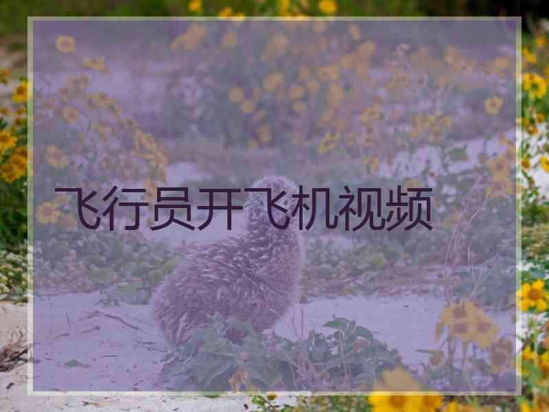 飞行员开飞机视频