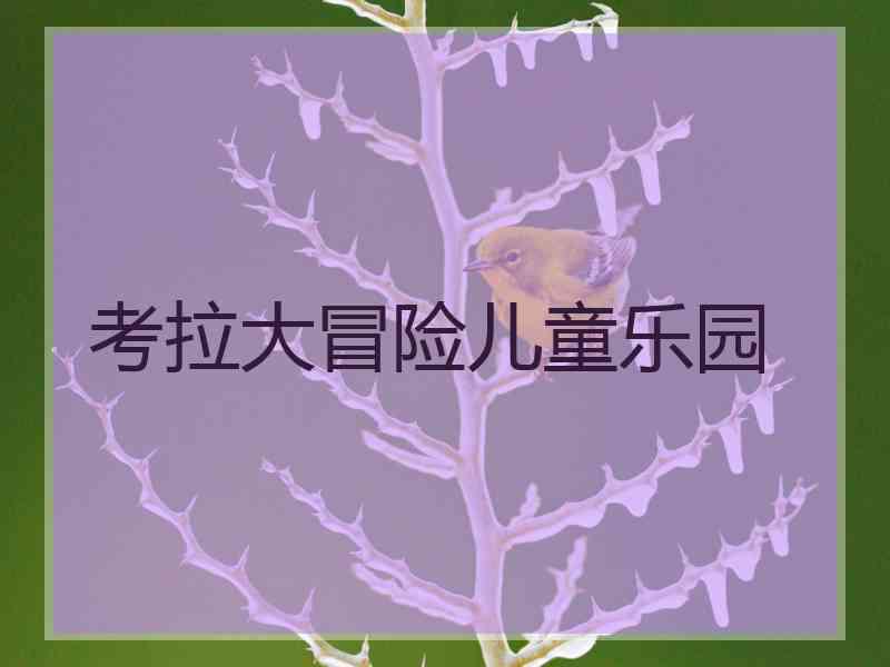 考拉大冒险儿童乐园
