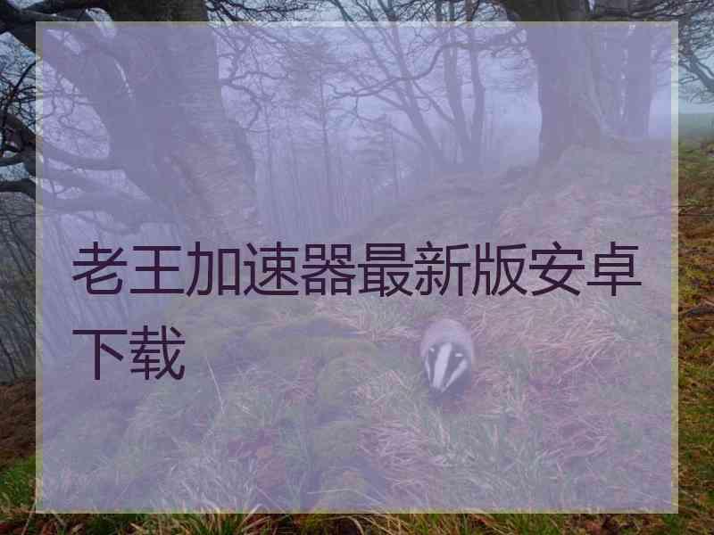 老王加速器最新版安卓下载