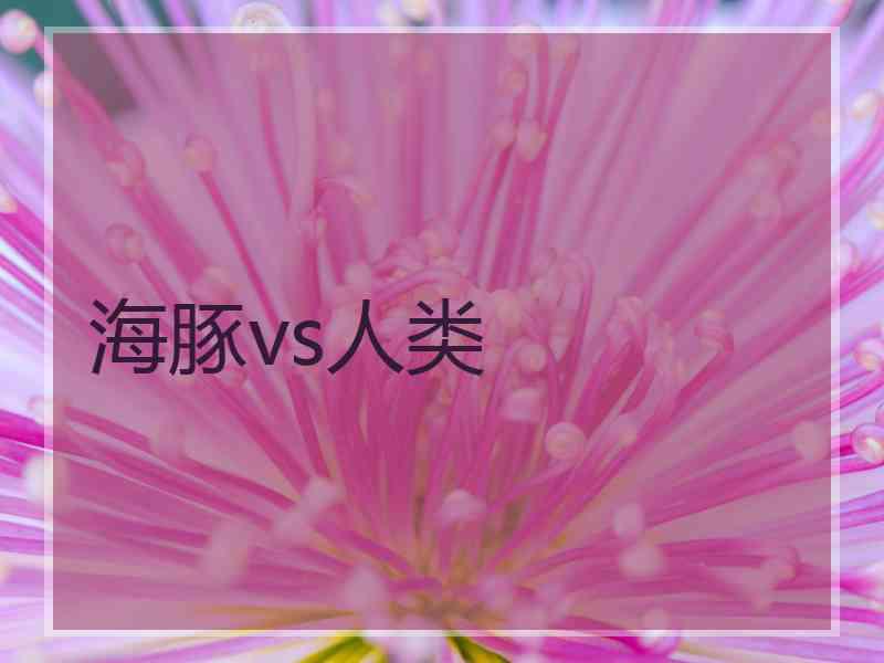 海豚vs人类