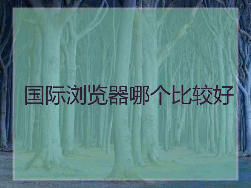 国际浏览器哪个比较好