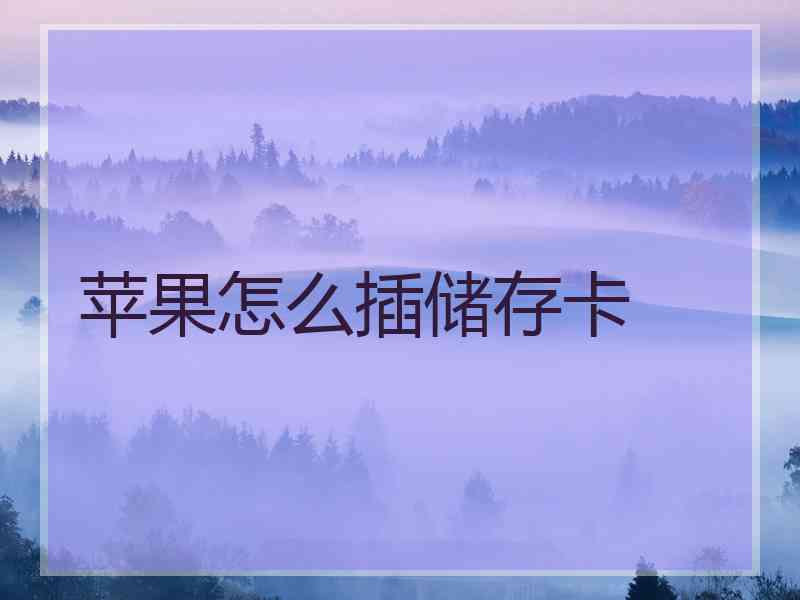 苹果怎么插储存卡