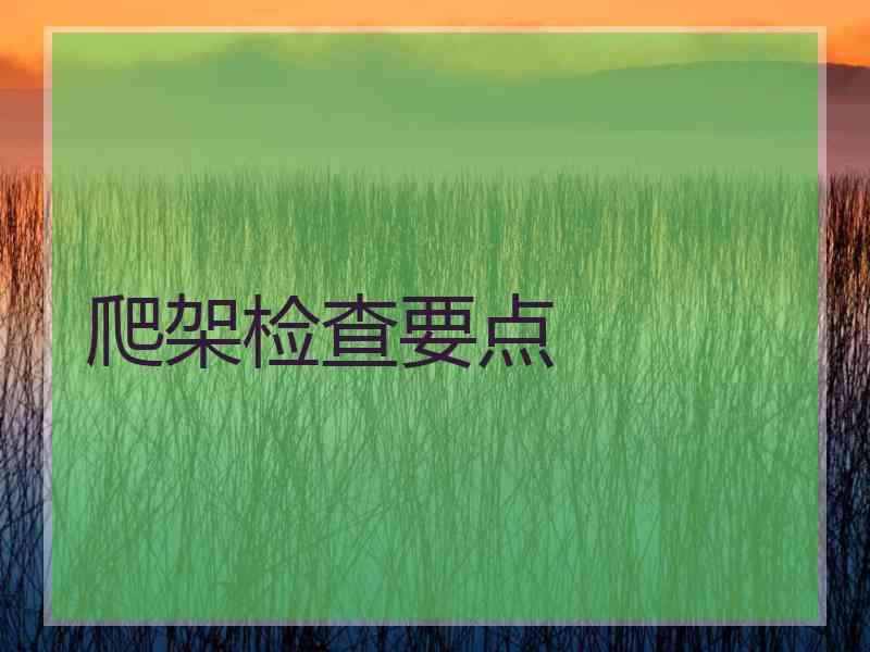 爬架检查要点