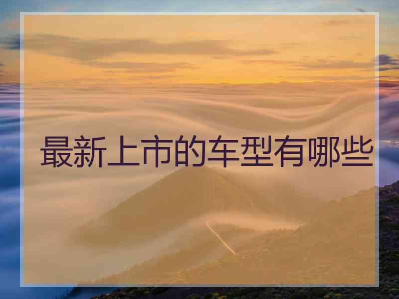 最新上市的车型有哪些