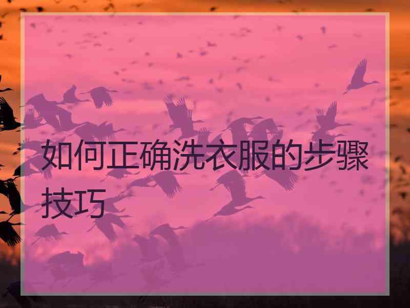 如何正确洗衣服的步骤技巧