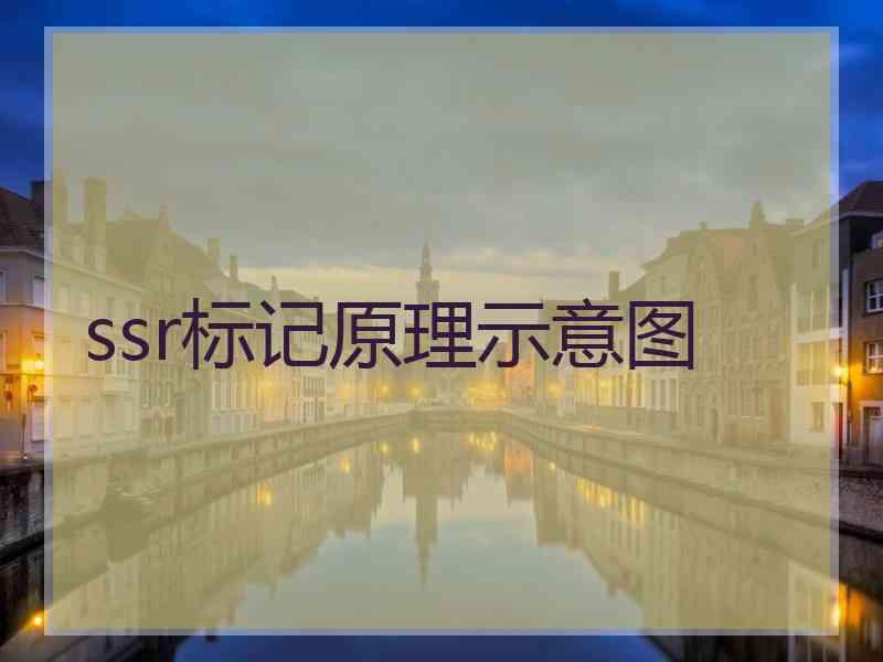 ssr标记原理示意图