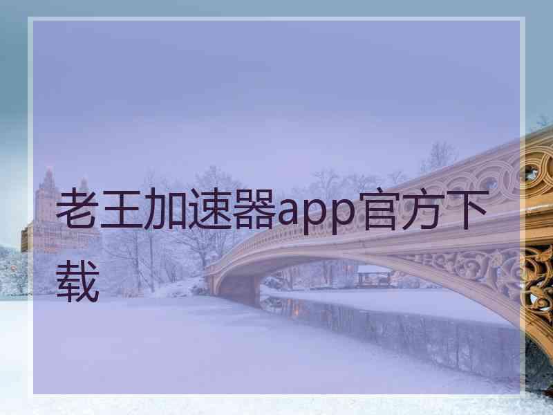 老王加速器app官方下载