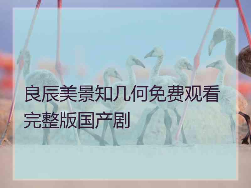 良辰美景知几何免费观看完整版国产剧