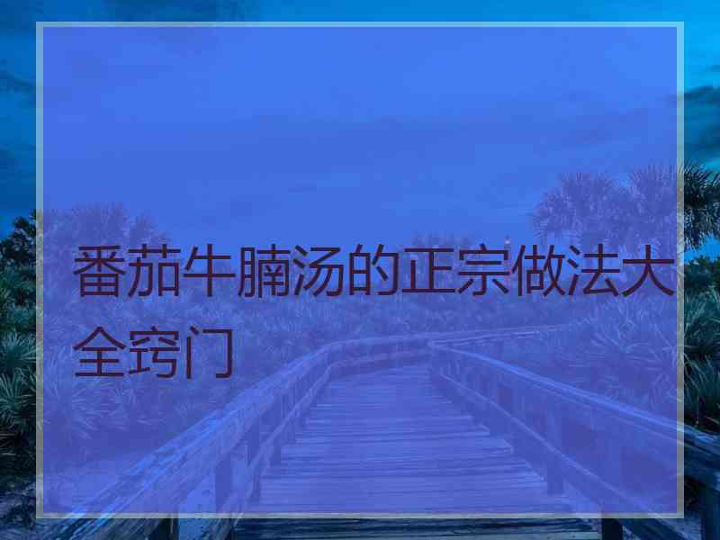 番茄牛腩汤的正宗做法大全窍门