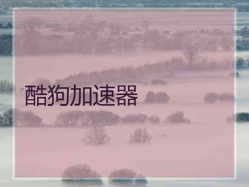 酷狗加速器
