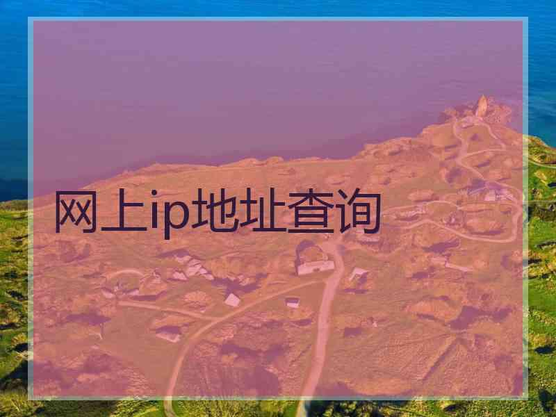 网上ip地址查询