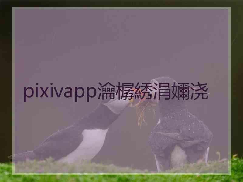 pixivapp瀹樼綉涓嬭浇