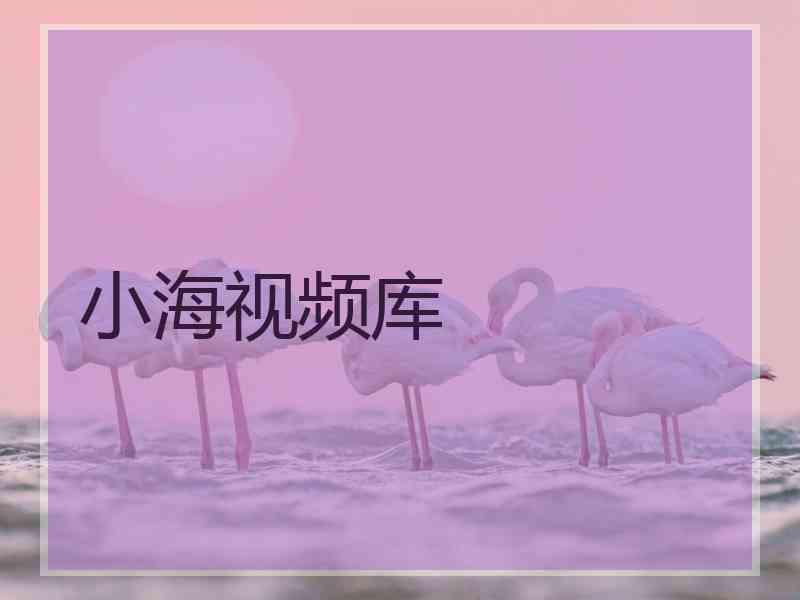 小海视频库