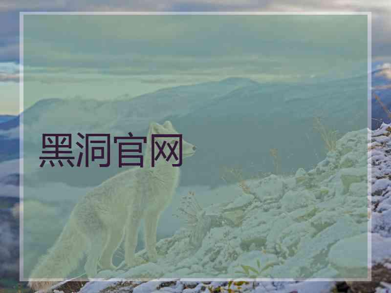 黑洞官网
