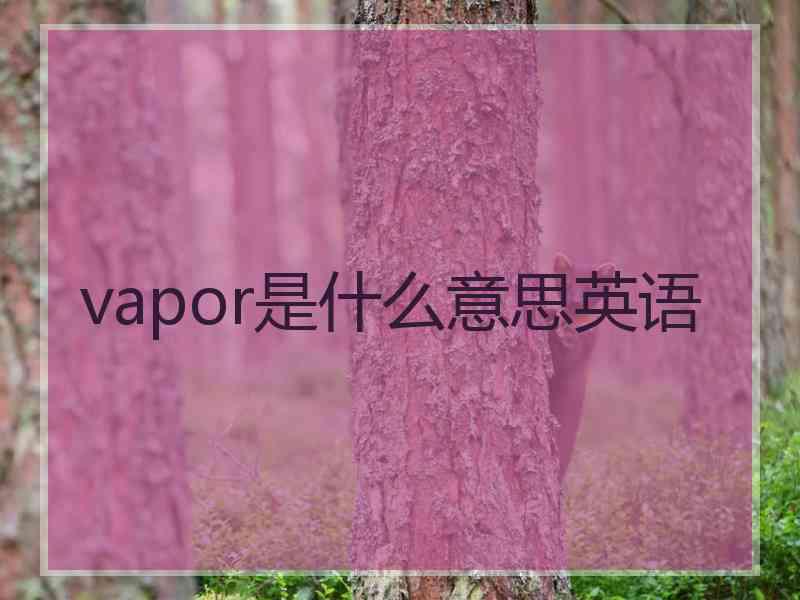 vapor是什么意思英语
