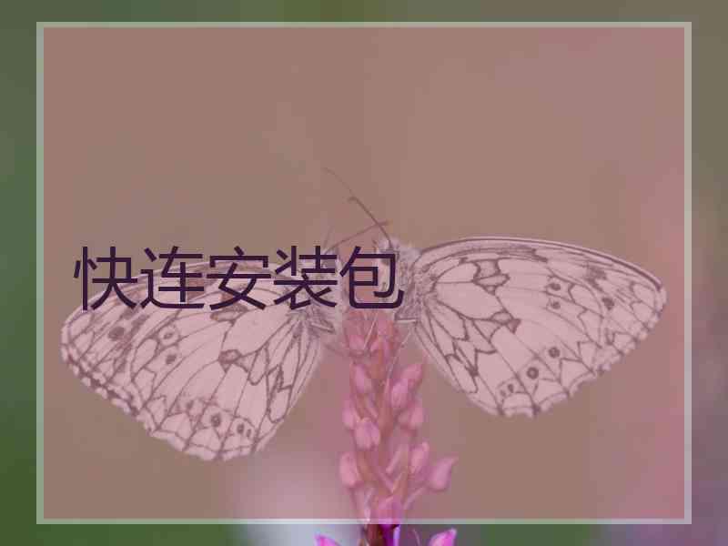 快连安装包
