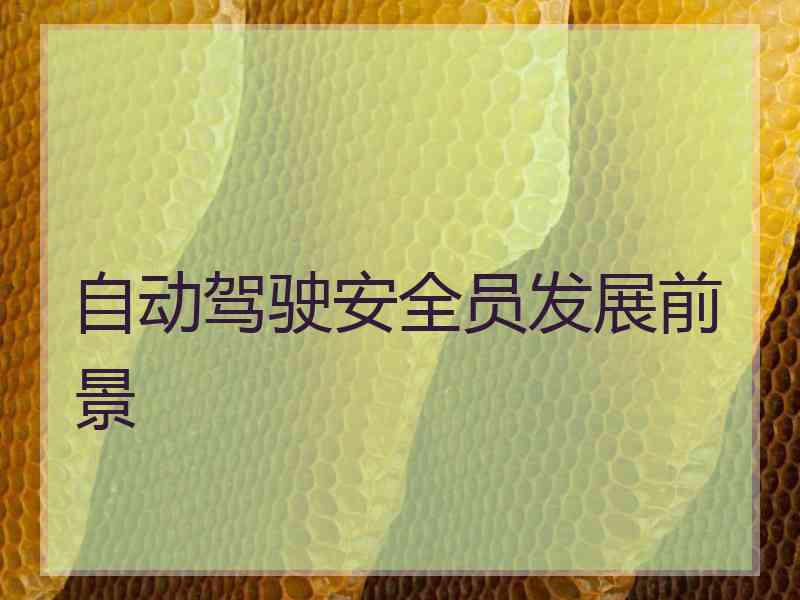 自动驾驶安全员发展前景