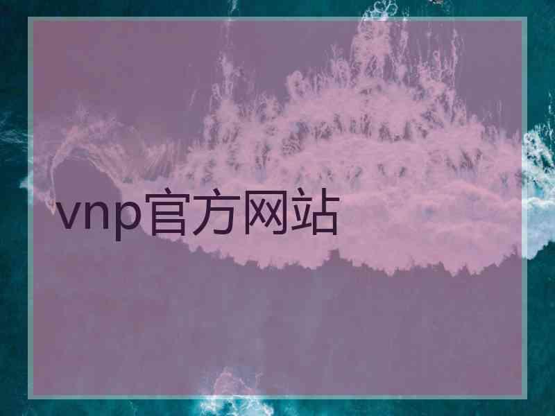 vnp官方网站