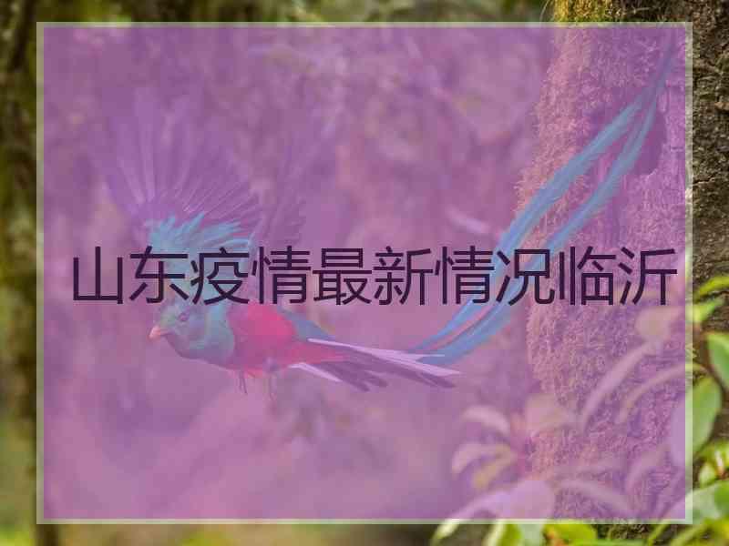 山东疫情最新情况临沂