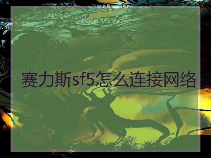 赛力斯sf5怎么连接网络