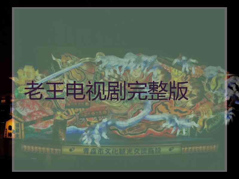 老王电视剧完整版