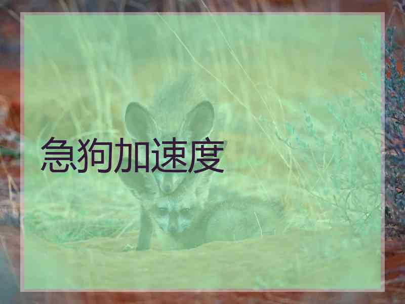 急狗加速度