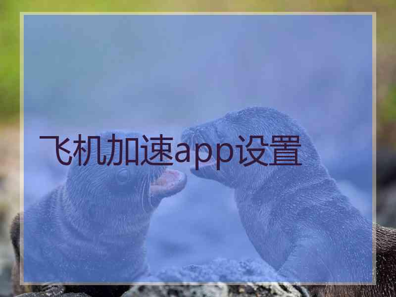 飞机加速app设置