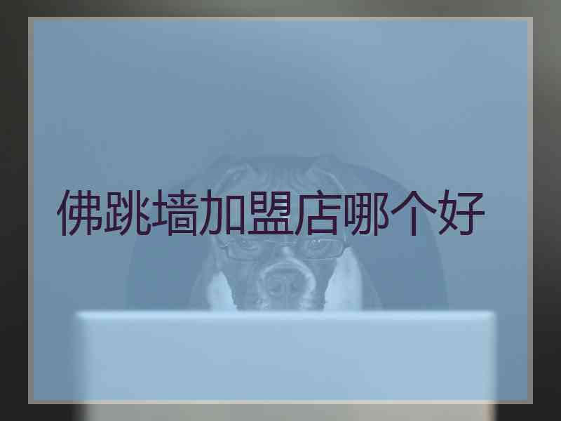 佛跳墙加盟店哪个好