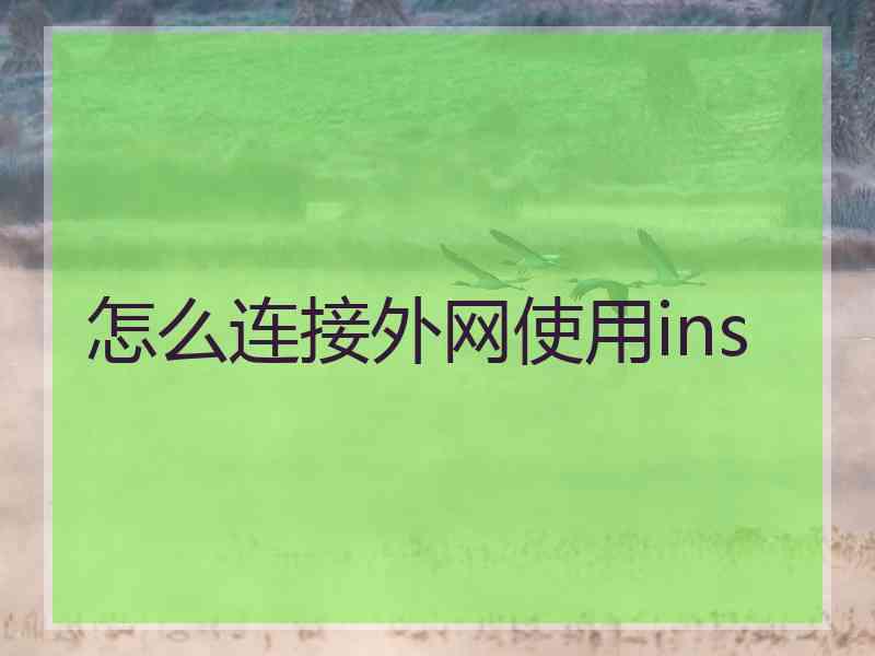 怎么连接外网使用ins