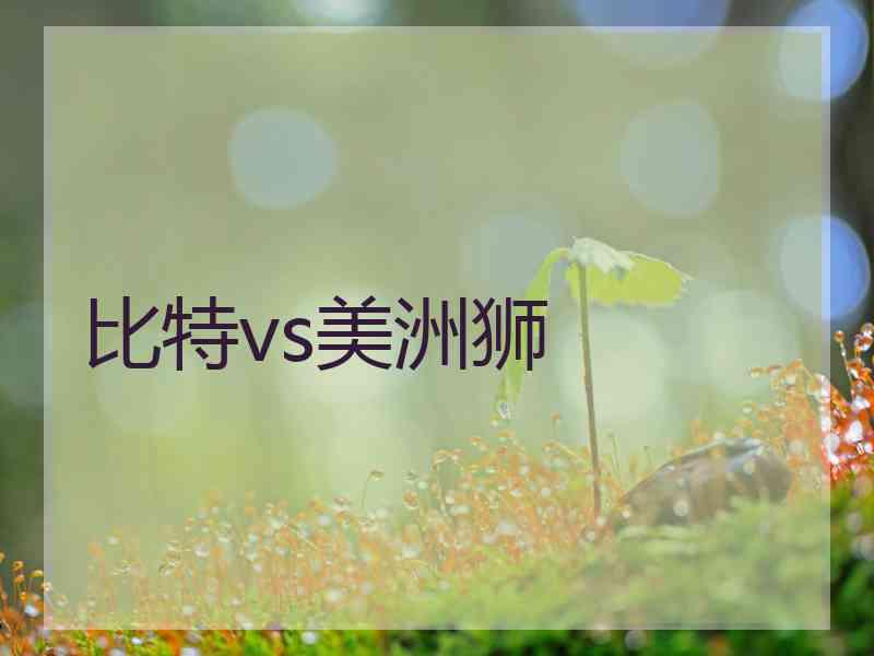 比特vs美洲狮