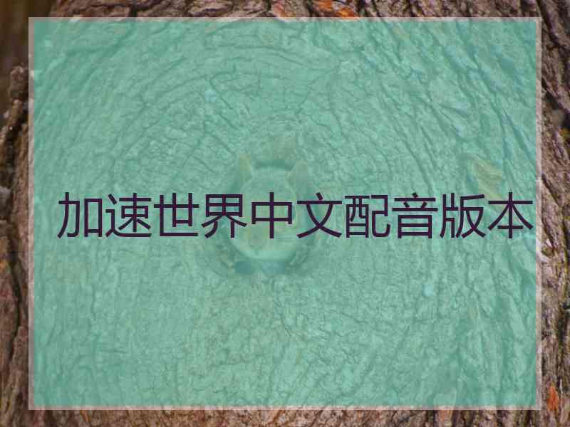 加速世界中文配音版本