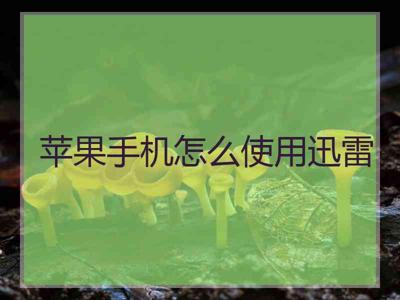 苹果手机怎么使用迅雷