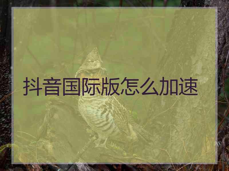 抖音国际版怎么加速