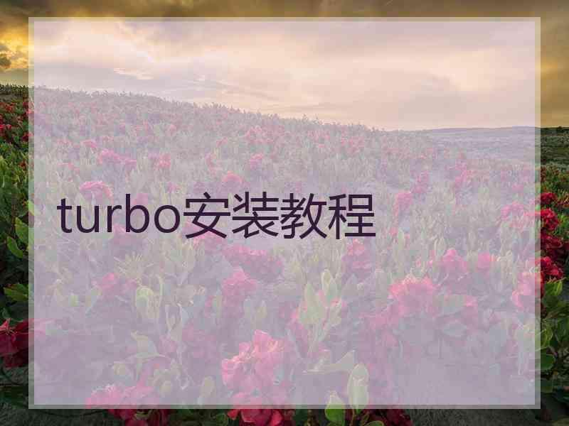 turbo安装教程