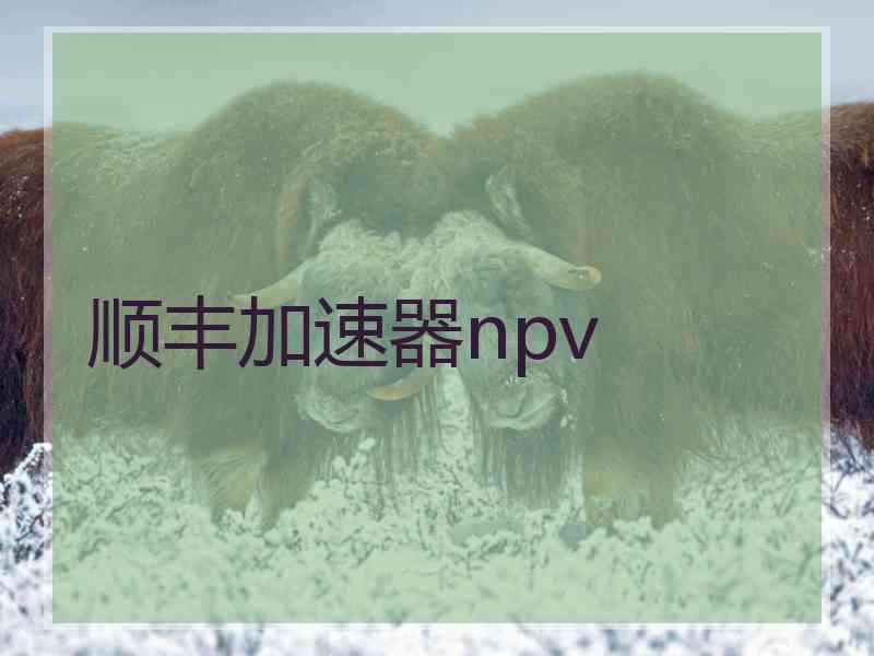 顺丰加速器npv